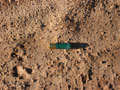 shotgun shell casing.JPG